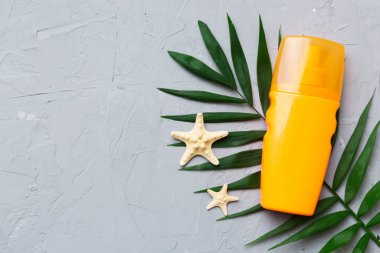 Güneş kremi şişesi. Güneş korumalı krem ve tropik yeşil yapraklı deniz kabukları olan bir şişe..