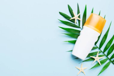 Güneş kremi şişesi. Güneş korumalı krem ve tropik yeşil yapraklı deniz kabukları olan bir şişe..