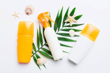 Güneş kremi şişesi. Güneş korumalı krem ve tropik yeşil yapraklı deniz kabukları olan bir şişe..