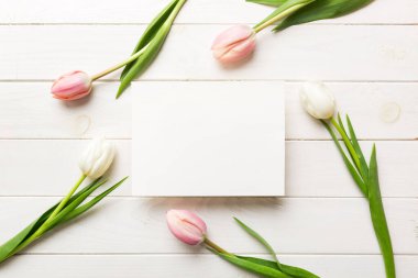 Boş kartlı kompozisyon ve renkli arka planda güzel çiçek lalesi. En üstteki görünüm boşluk desing için.