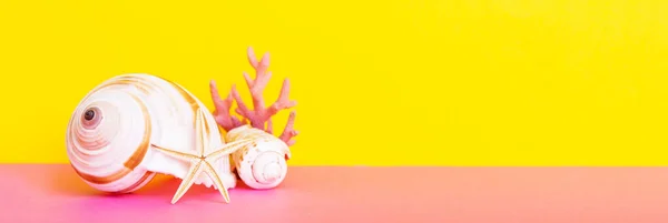 Beach Seashells Colored Background Mock Copy Space — 스톡 사진