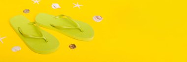 Plaj aksesuarları. Renkli arka planda parmak arası terlik ve denizyıldızı. Üst görünüm Kopyalama alanı ile modelle.
