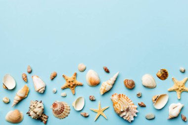 Yaz zamanı konsepti düz kompozisyon ile güzel deniz yıldızları ve deniz kabukları renkli tablo üzerinde yatıyordu, metin için metin alanı ile üst görünüm.