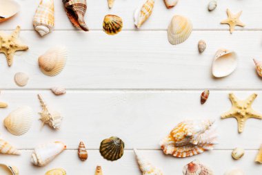 Summer time concept Flat lay composition with beautiful starfish and sea shells on colored table, top view with copy space for text.