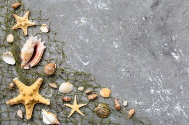 Yaz zamanı konsepti düz kompozisyon ile güzel deniz yıldızları ve deniz kabukları renkli tablo üzerinde yatıyordu, metin için metin alanı ile üst görünüm.
