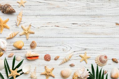Yaz zamanı konsepti düz kompozisyon ile güzel deniz yıldızları ve deniz kabukları renkli tablo üzerinde yatıyordu, metin için metin alanı ile üst görünüm.