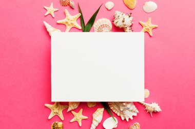 Yaz mevsimi konsepti, boş tebrik kartı ve renkli arkaplan üzerine boş beyaz kağıt. Çerçeve şeklinde deniz kabukları metin üstü görünümü için boşluk ile ayrılmış.