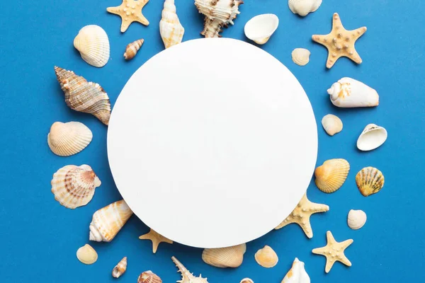 Yaz mevsimi konsepti, boş tebrik kartı ve renkli arkaplan üzerine boş beyaz kağıt. Çerçeve şeklinde deniz kabukları metin üstü görünümü için boşluk ile ayrılmış.