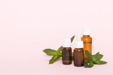 Cam Şişedeki Doğal Nane Özeli Yağı. Renkli arka planda nane özlü bitkisel kozmetik ürünleri.