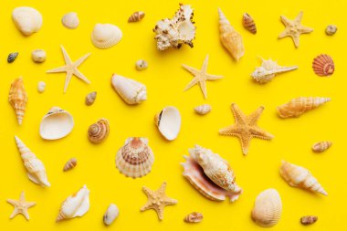 Yaz mevsimi konsepti deniz yıldızları ve deniz kabukları ile bezenmiş düz bir kompozisyon, renkli masa, üst görünüm.