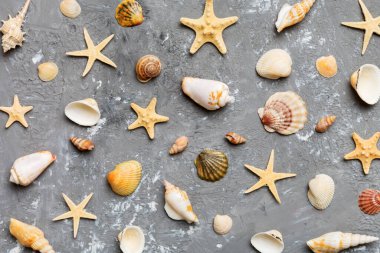 Yaz mevsimi konsepti deniz yıldızları ve deniz kabukları ile bezenmiş düz bir kompozisyon, renkli masa, üst görünüm.