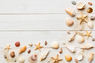 Summer time concept Flat lay composition with beautiful starfish and sea shells on colored table, top view with copy space for text.