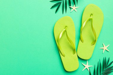 Renkli arka planda parmak arası terlikleri ve deniz kabuğu olan düz bir kompozisyon. Metin üstü görünümü için boşluk.