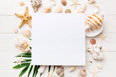 Yaz mevsimi konsepti, boş tebrik kartı ve renkli arkaplan üzerine boş beyaz kağıt. Çerçeve şeklinde deniz kabukları metin üstü görünümü için boşluk ile ayrılmış.