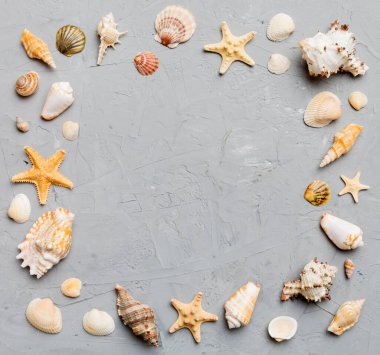 Renkli arka planda yaz zamanı konsepti. Çerçeve şeklinde deniz kabukları metin üstü görünümü için boşluk ile ayrılmış.