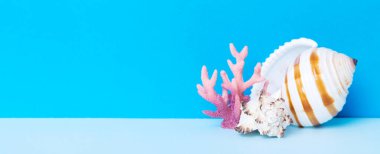 Renkli arka planda plaj deniz kabukları. Kopyalama alanı kullan.