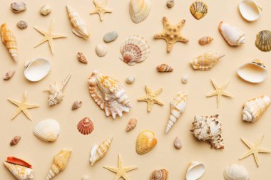 Summer time concept Flat lay composition with beautiful starfish and sea shells on colored table, top view.