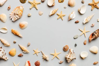 Yaz zamanı konsepti düz kompozisyon ile güzel deniz yıldızları ve deniz kabukları renkli tablo üzerinde yatıyordu, metin için metin alanı ile üst görünüm.