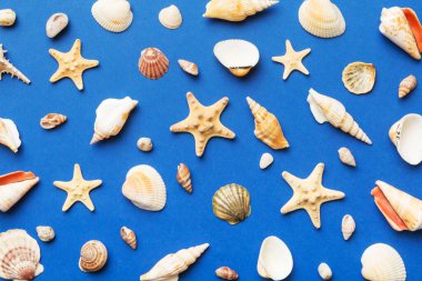 Summer time concept Flat lay composition with beautiful starfish and sea shells on colored table, top view.