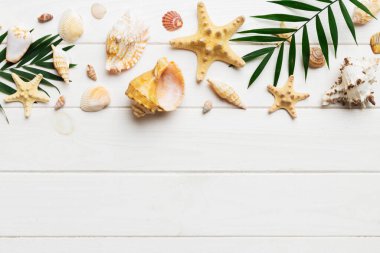 Yaz zamanı konsepti düz kompozisyon ile güzel deniz yıldızları ve deniz kabukları renkli tablo üzerinde yatıyordu, metin için metin alanı ile üst görünüm.