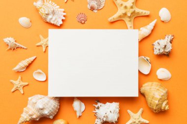 Yaz mevsimi konsepti, boş tebrik kartı ve renkli arkaplan üzerine boş beyaz kağıt. Çerçeve şeklinde deniz kabukları metin üstü görünümü için boşluk ile ayrılmış.