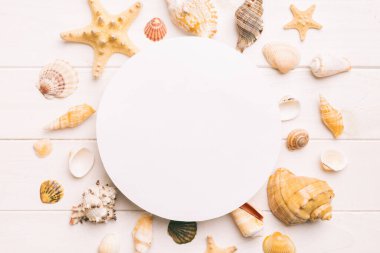Yaz mevsimi konsepti, boş tebrik kartı ve renkli arkaplan üzerine boş beyaz kağıt. Çerçeve şeklinde deniz kabukları metin üstü görünümü için boşluk ile ayrılmış.