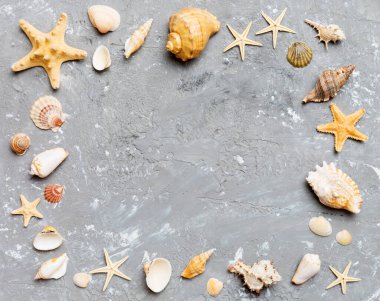 Renkli arka planda yaz zamanı konsepti. Çerçeve şeklinde deniz kabukları metin üstü görünümü için boşluk ile ayrılmış.