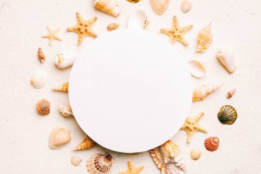 Yaz mevsimi konsepti, boş tebrik kartı ve renkli arkaplan üzerine boş beyaz kağıt. Çerçeve şeklinde deniz kabukları metin üstü görünümü için boşluk ile ayrılmış.