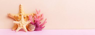 Renkli arka planda plaj deniz kabukları. Kopyalama alanı kullan.