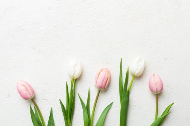Renkli bir tatil çerçevesinde pembe ve beyaz laleler. 8 Mart, doğum günü, anneler günü için çiçek arkaplanı. Üst görünüm düzlemini kopyala.