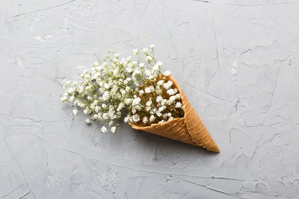 Renkli arka planda güzel çigila çiçekleri olan gözleme külahı. Yaz konsepti. Üst görünümü kopyala.