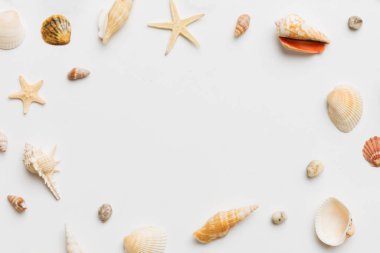 Yaz zamanı konsepti düz kompozisyon ile güzel deniz yıldızları ve deniz kabukları renkli tablo üzerinde yatıyordu, metin için metin alanı ile üst görünüm.