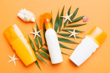 Güneş kremi şişesi. Güneş korumalı krem ve tropik yeşil yapraklı deniz kabukları olan bir şişe..