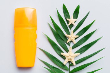 Güneş kremi şişesi. Güneş korumalı krem ve tropik yeşil yapraklı deniz kabukları olan bir şişe..