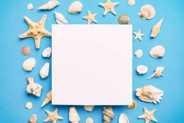 Yaz mevsimi konsepti, boş tebrik kartı ve renkli arkaplan üzerine boş beyaz kağıt. Çerçeve şeklinde deniz kabukları metin üstü görünümü için boşluk ile ayrılmış.