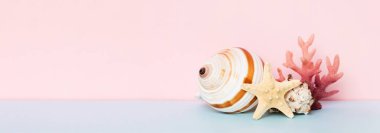 Renkli arka planda plaj deniz kabukları. Kopyalama alanı kullan.