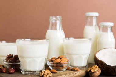 Masa arkasında çeşitli vejetaryen süt bademi, hindistan cevizi, fındık. Vejetaryen bitkisi sütü ve malzemeleri, üst görünüm.