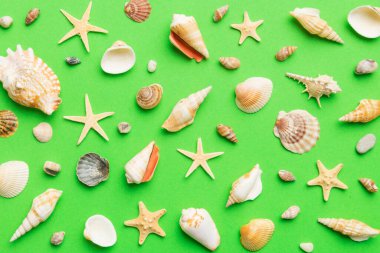 Summer time concept Flat lay composition with beautiful starfish and sea shells on colored table, top view.