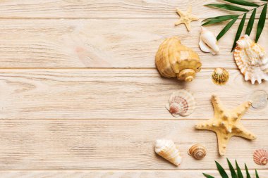 Yaz zamanı konsepti düz kompozisyon ile güzel deniz yıldızları ve deniz kabukları renkli tablo üzerinde yatıyordu, metin için metin alanı ile üst görünüm.