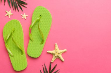 Renkli arka planda parmak arası terlikleri ve deniz kabuğu olan düz bir kompozisyon. Metin üstü görünümü için boşluk.