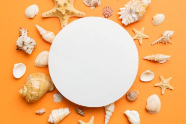 Yaz mevsimi konsepti, boş tebrik kartı ve renkli arkaplan üzerine boş beyaz kağıt. Çerçeve şeklinde deniz kabukları metin üstü görünümü için boşluk ile ayrılmış.