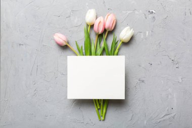 Boş kartlı kompozisyon ve renkli arka planda güzel çiçek lalesi. En üstteki görünüm boşluk desing için.