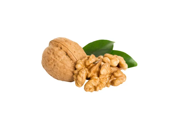 Roasted Walnut Isolated White Background Walnut Snack Raw Cook Healthy — Stock Photo, Image