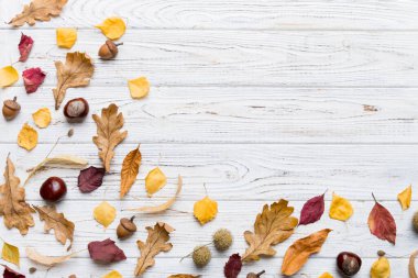 Sonbahar kompozisyonu. Masadaki kurumuş yapraklar ve diğer tasarım aksesuarlarından oluşan desen. Düz yatış, üst görünüm.