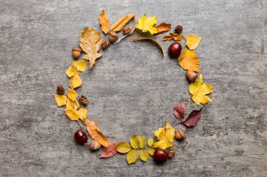 Masadaki kurumuş yapraklar, koniler ve meşe palamutlarından oluşan sonbahar kompozisyonu. Düz yatış, üst görünüm.