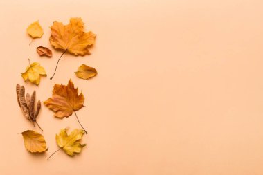 Sonbahar kompozisyonu. Masadaki kurumuş yapraklar ve diğer tasarım aksesuarlarından oluşan desen. Düz yatış, üst görünüm.