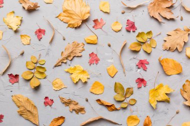 Sonbahar kompozisyonu. Masadaki kurumuş yapraklar ve diğer tasarım aksesuarlarından oluşan desen. Düz yatış, üst görünüm.