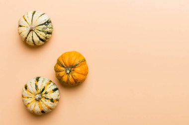 Renkli masa arkasında küçük turuncu balkabaklarının sonbahar kompozisyonu. Sonbahar, Cadılar Bayramı ve Şükran Günü konsepti. Sonbahar düz fotoğraf çekimi. Üst görünüm vith kopyalama alanı.