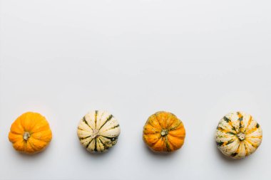 Renkli masa arkasında küçük turuncu balkabaklarının sonbahar kompozisyonu. Sonbahar, Cadılar Bayramı ve Şükran Günü konsepti. Sonbahar düz fotoğraf çekimi. Üst görünüm vith kopyalama alanı.