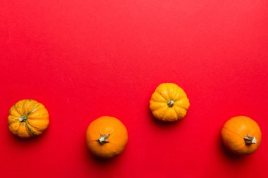 Renkli masa arkasında küçük turuncu balkabaklarının sonbahar kompozisyonu. Sonbahar, Cadılar Bayramı ve Şükran Günü konsepti. Sonbahar düz fotoğraf çekimi. Üst görünüm vith kopyalama alanı.